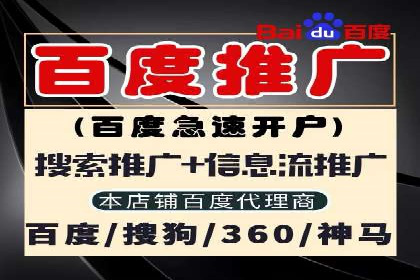 成功背后的力量：SEM推广代运营公司的故事